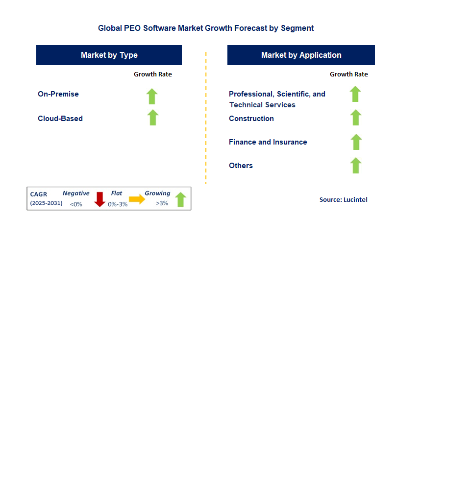 PEO Software Market by Segment